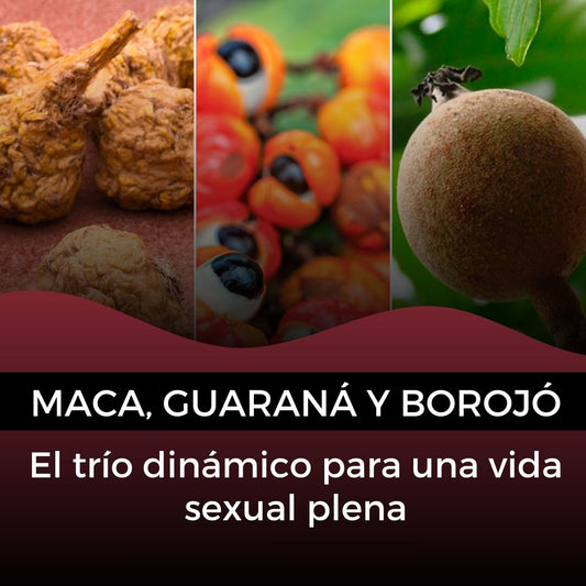 Maca, guaraná y borojó: El trío dinámico para una vida sexual plena